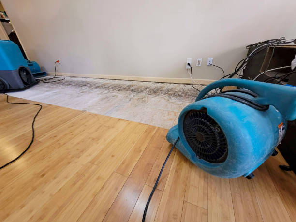 Professional Structural Drying technician working in Stony Point, NC